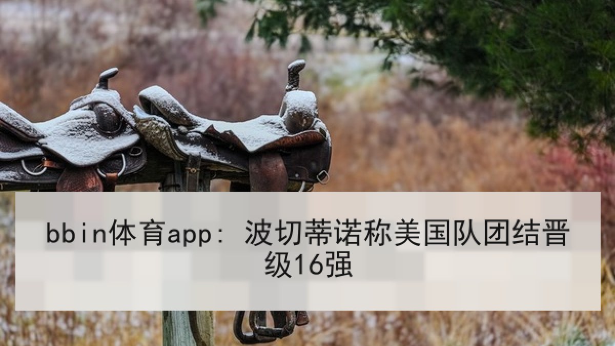 bbin体育app: 波切蒂诺称美国队团结晋级16强 bbin体育app: 波切蒂诺称美国队团结晋级16强