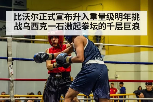 比沃尔正式宣布升入重量级明年挑战乌西克一石激起拳坛的千层巨浪
