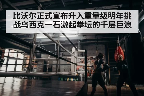 boxer training