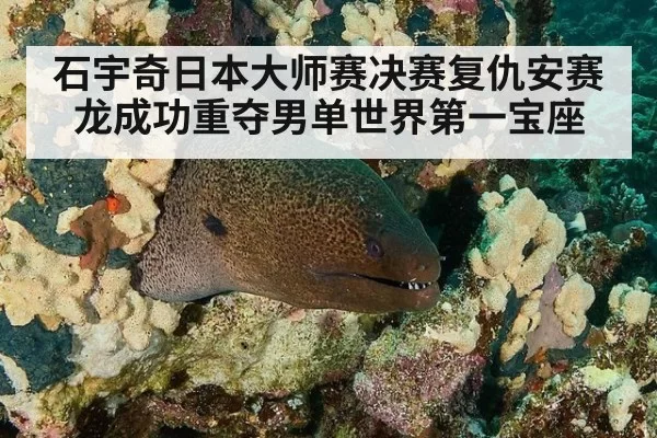 石宇奇日本大师赛决赛复仇安赛龙成功重夺男单世界第一宝座
